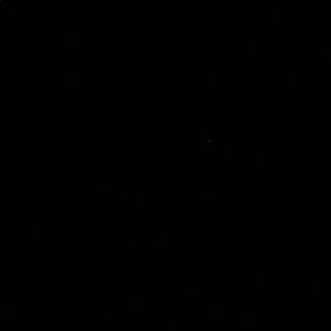 Meet your Posher, Noah